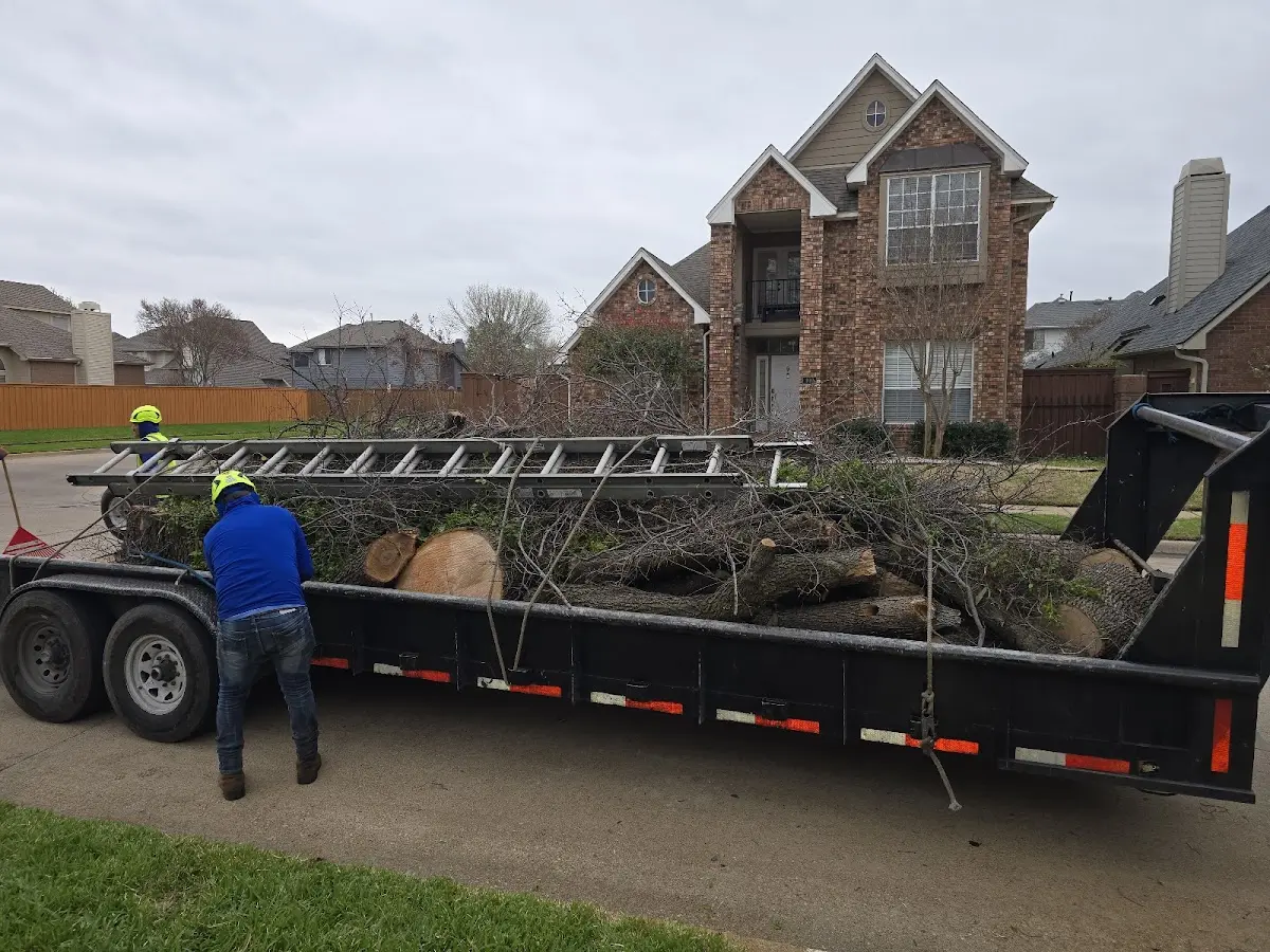 Expert Tree Removal with proper safety equipment in Bensenville
